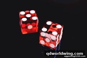 AG真人 qdworldwing